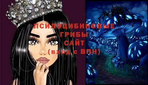 молекула духа Бородино