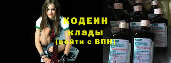 молекула духа Бородино