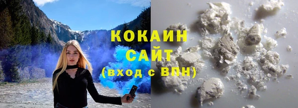молекула духа Бородино