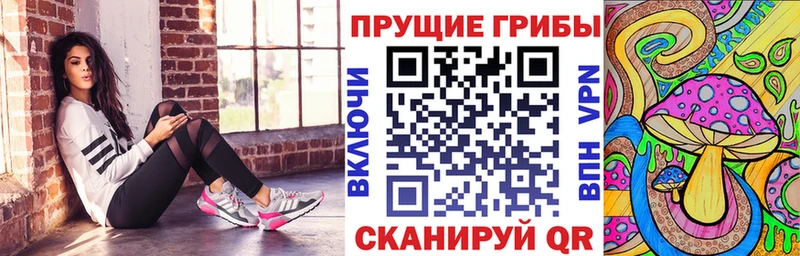 ссылка на мегу ТОР  хочу   Гремячинск  Псилоцибиновые грибы прущие грибы 